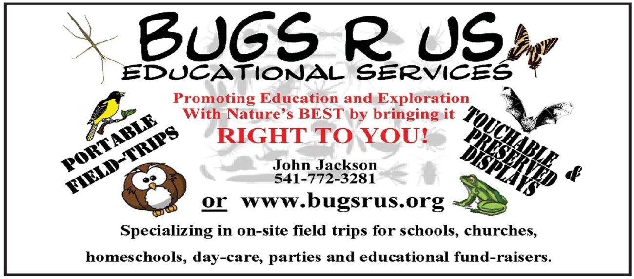 Bug R Us 8-16