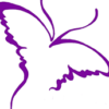 Women’s Crisis Support Team